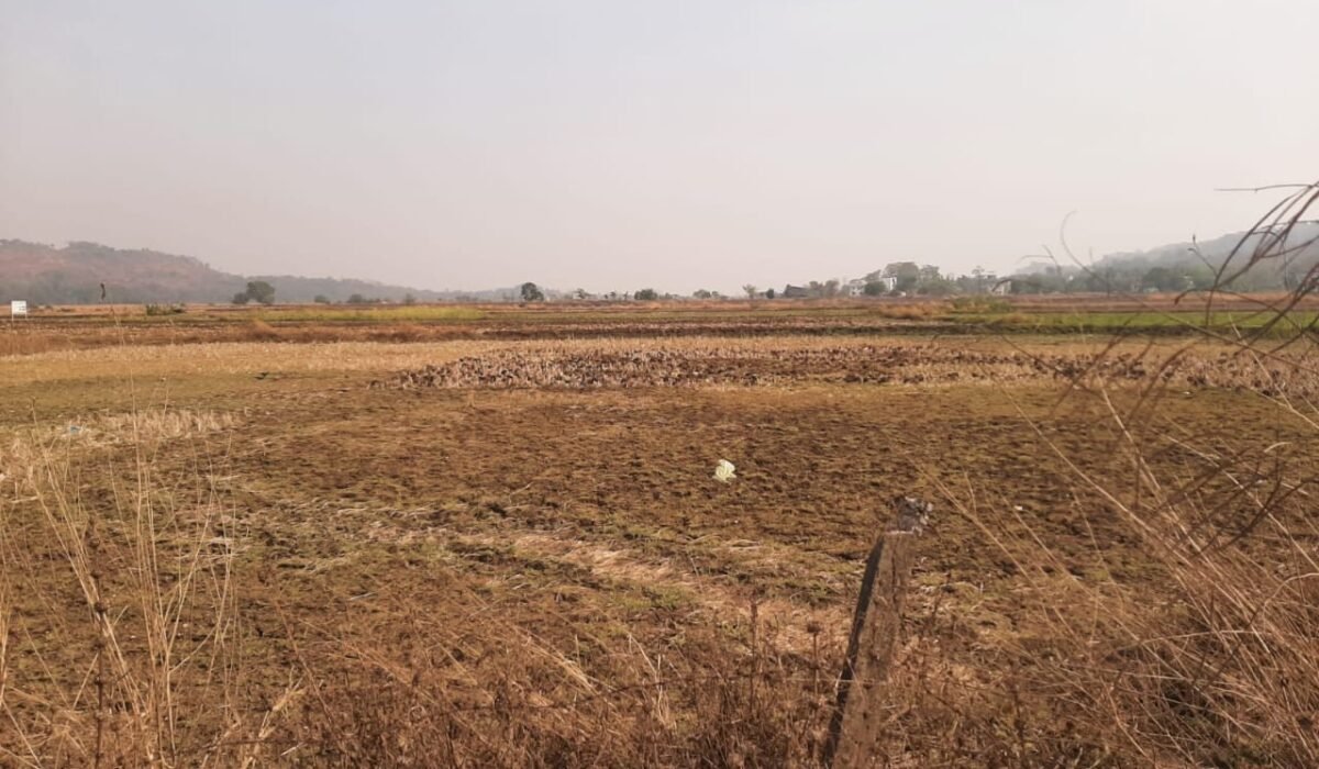 plots for sale in navi mumbai, land in navi mumbai, plots near navi mumbai airport, land for sale in navi mumbai, property near navi mumbai airport, real estate in navi mumbai, plot for sale in kharghar, navi mumbai land for sale, plot for sale in mumbai, plots for sale in lonavala, bungalow plots, plot in ulwe, plot in panvel, land rate in panvel